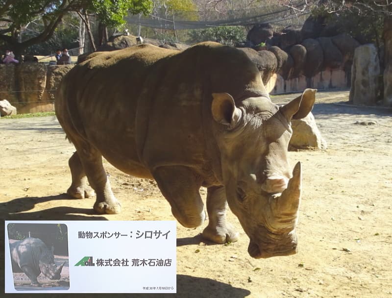 地域貢献活動|のんほいパーク豊橋総合動物公園スポンサー