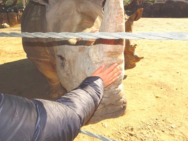 地域貢献活動|のんほいパーク豊橋総合動物公園スポンサー